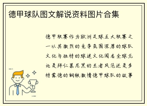 德甲球队图文解说资料图片合集