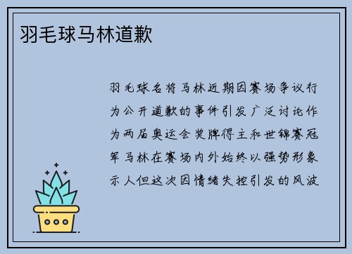 羽毛球马林道歉